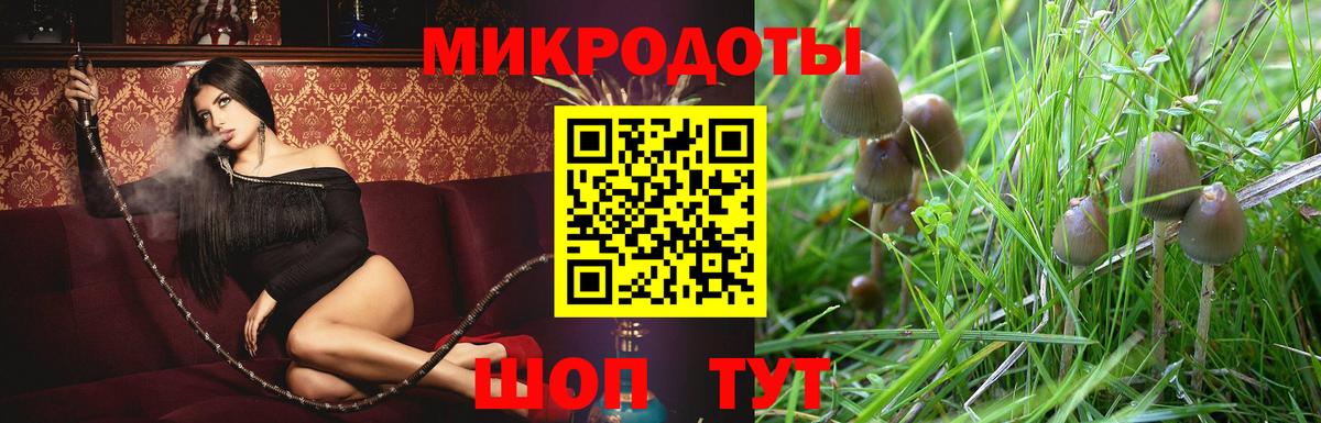 Псилоцибиновые грибы мицелий  Вход с VPN  Псилоцибиновые грибы мухоморы  Сосновоборск 